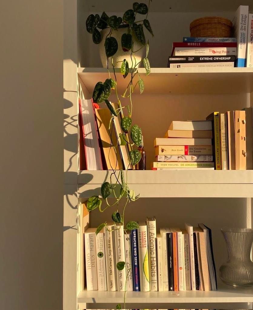 Books Ways to Fill Your Cup as a Language Learner & Educator